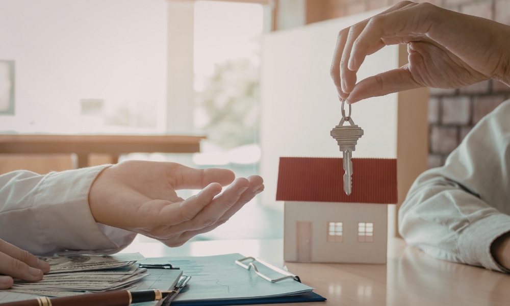 Vlasnik je lice koje ima puno pravo svojine na nepokretnosti, dok nosilac prava može imati samo određeno pravo korišćenja, zakupa ili službenosti bez prava svojine